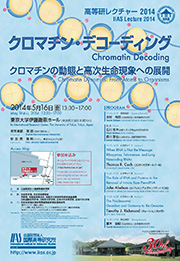 高等研レクチャー